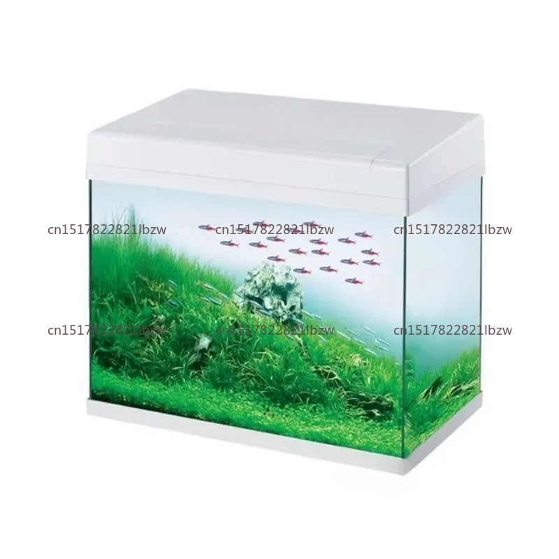 Aquarium Mini Fish - Glas-Aquarium Mini-Tisch-Aquarium für Büro und Zuhause