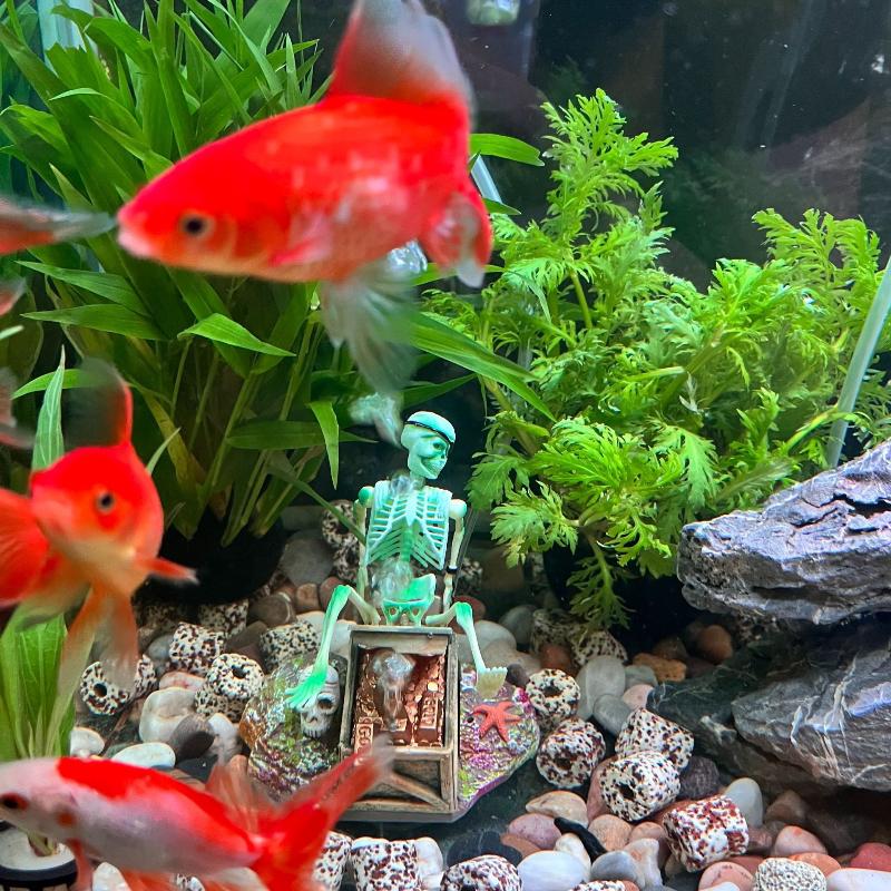 Aquarium Fish Diseases - Aquarium Aerobic Landschaft Blase Luftpumpe Spaß