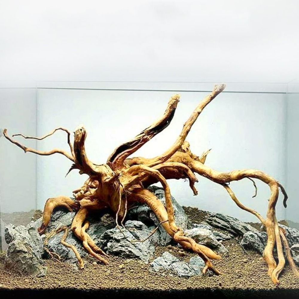 Aquarium Fish Diseases - Natürliche Baumstamm Aquarium Dekoration Holz Kunstwerk
