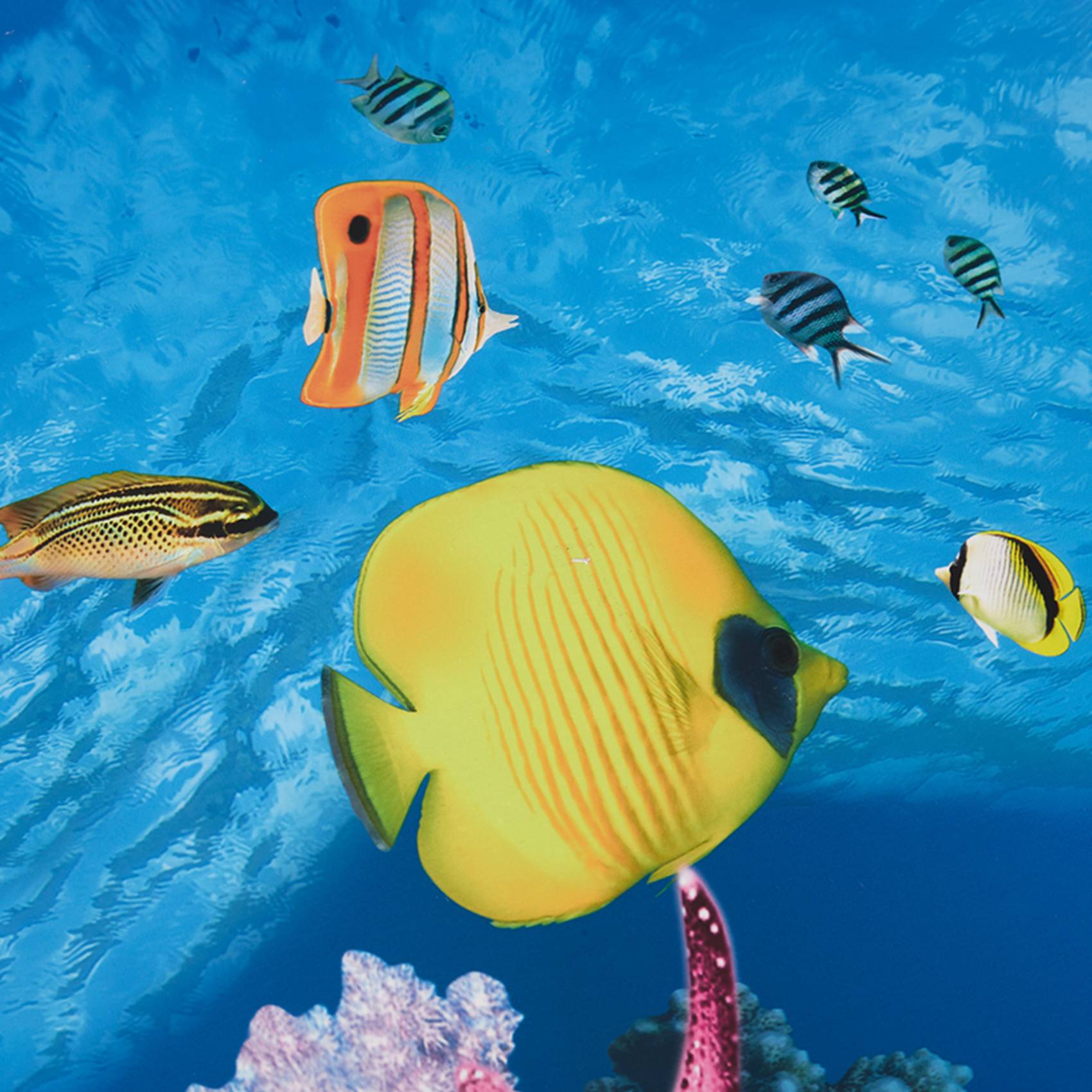 Aquarium Fish Wallpaper Hd - BAAU Aquarium Hintergrund Papier HD Bild
