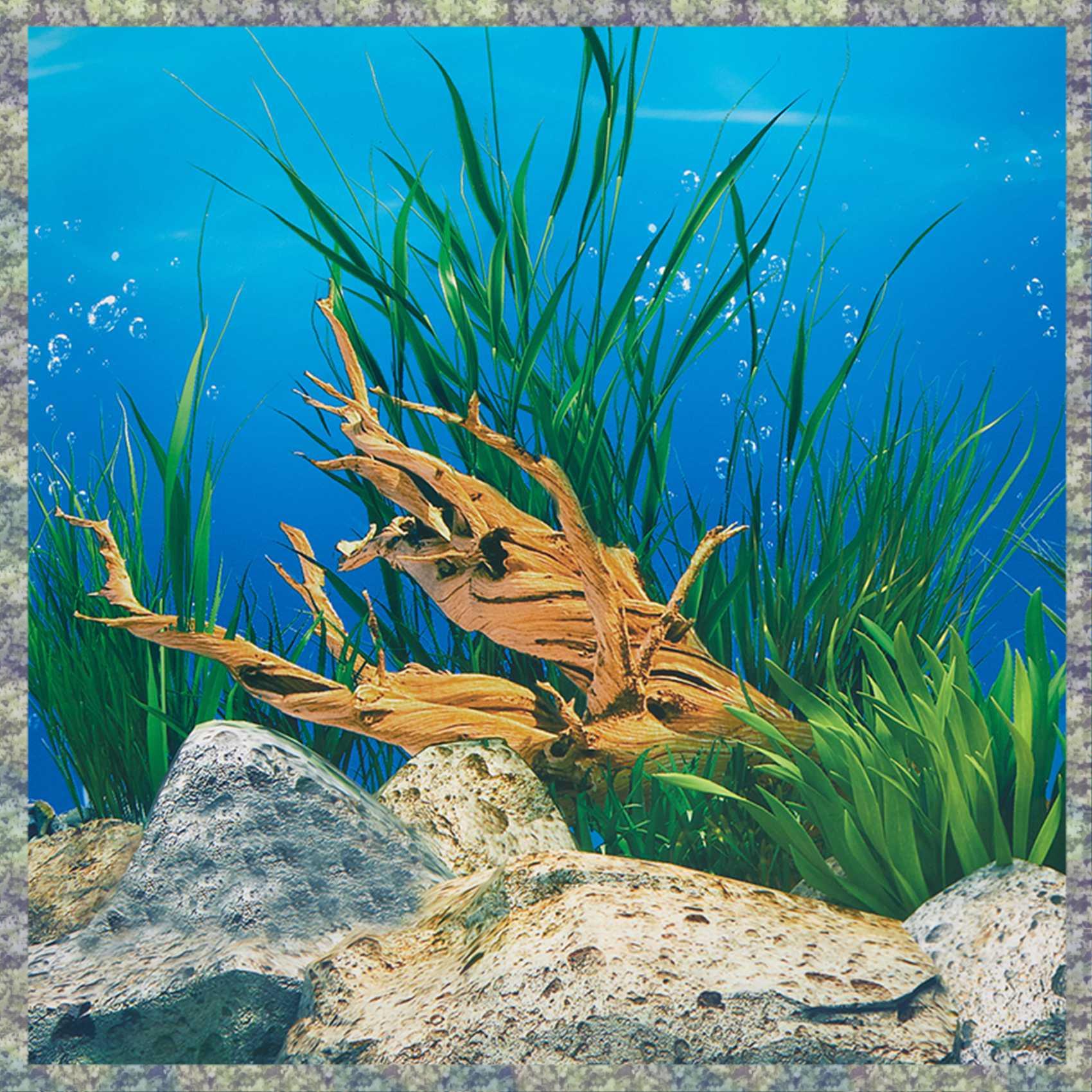 Aquarium Fish Wallpaper Hd - WON Aquarium Hintergrund Papier HD Bild