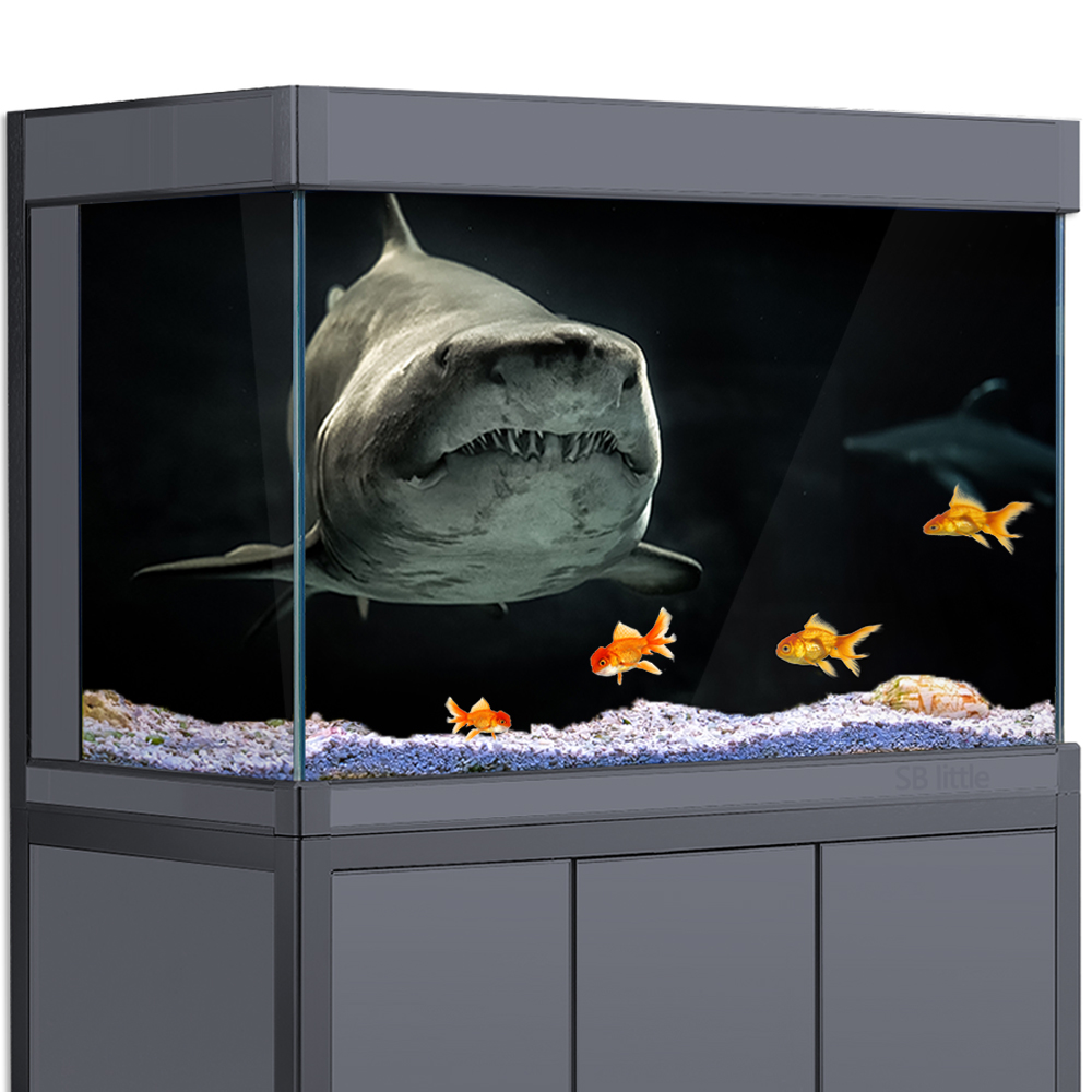 Aquarium Fish Wallpaper Hd - Aquarium Hintergrund 3D Shark Schwarz Dunkle