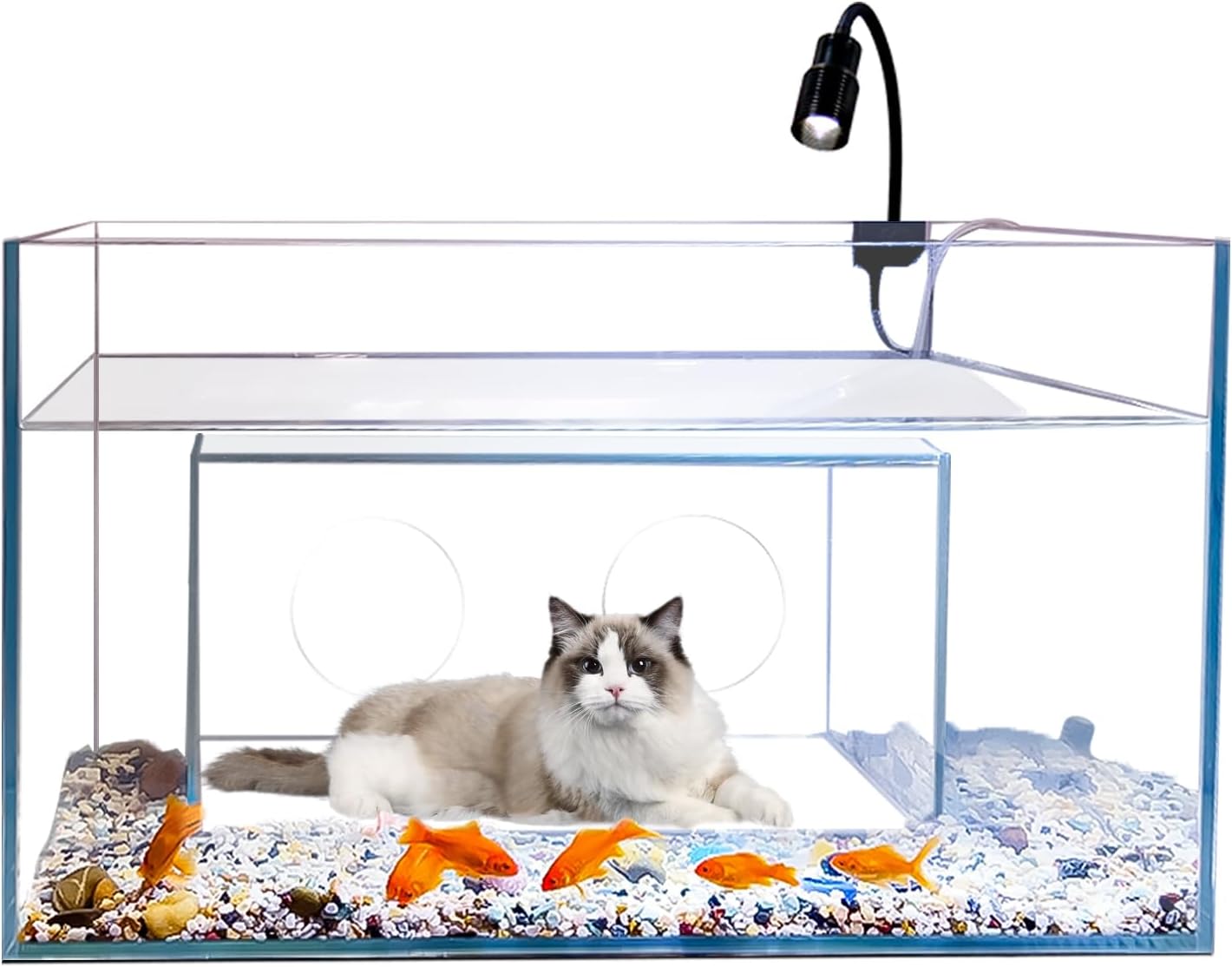 Katzenhaus und -apartment Spie – Fish Toys For Aquarium Bewertung und Preis