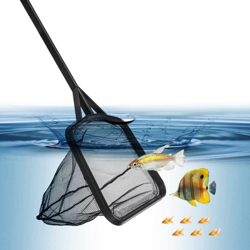 Angelkescher mit mehreren Grif – Aquarium Fishland Bewertung und Preis
