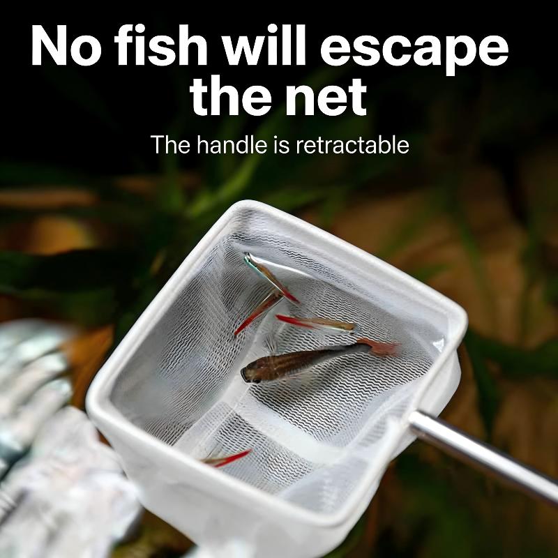 Für Fischfang, Garnelen-Aquari – Aquarium Fishland Bewertung und Preis