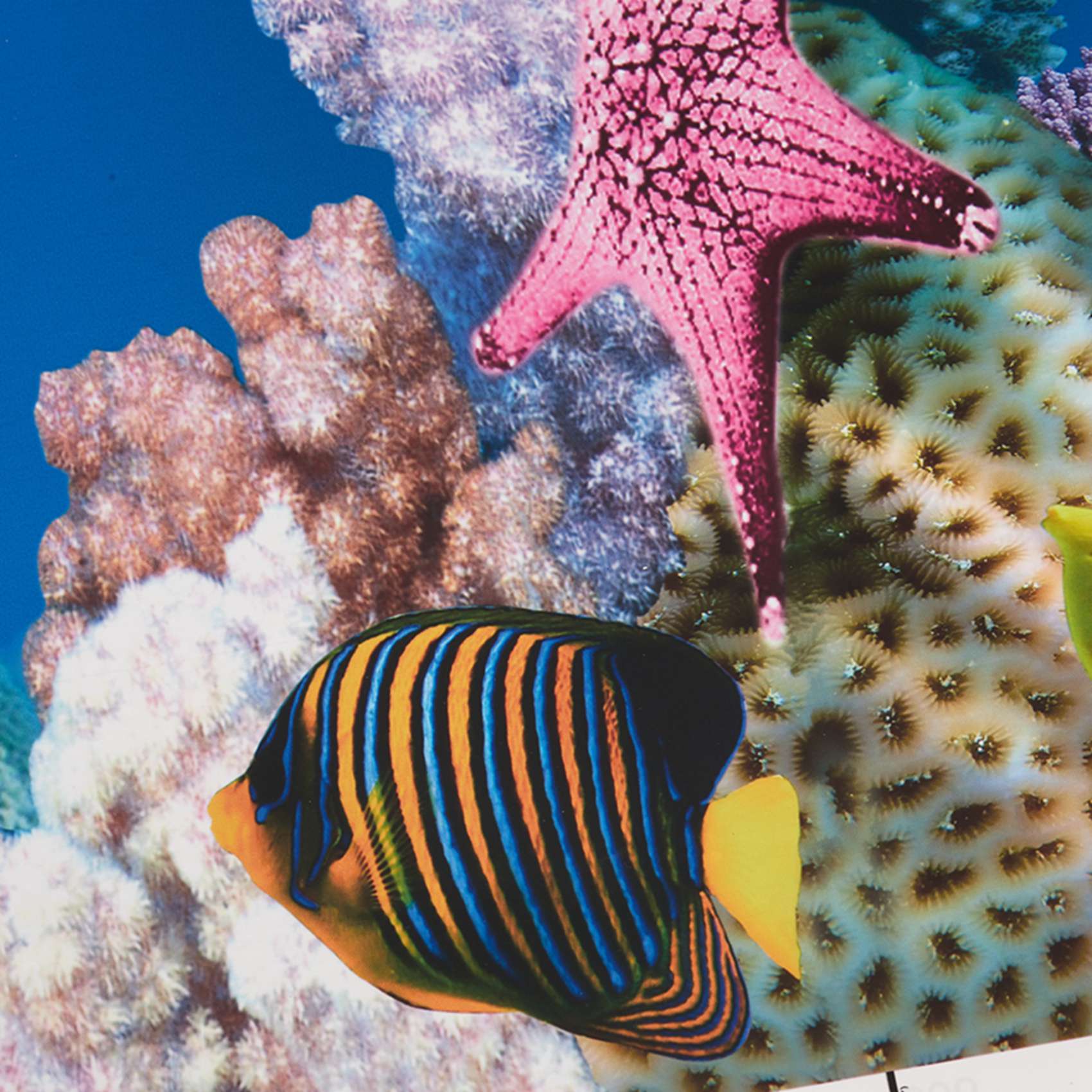 AB33-Aquarium Hintergrund Papi – Aquarium Fish Wallpaper Hd Bewertung und Preis