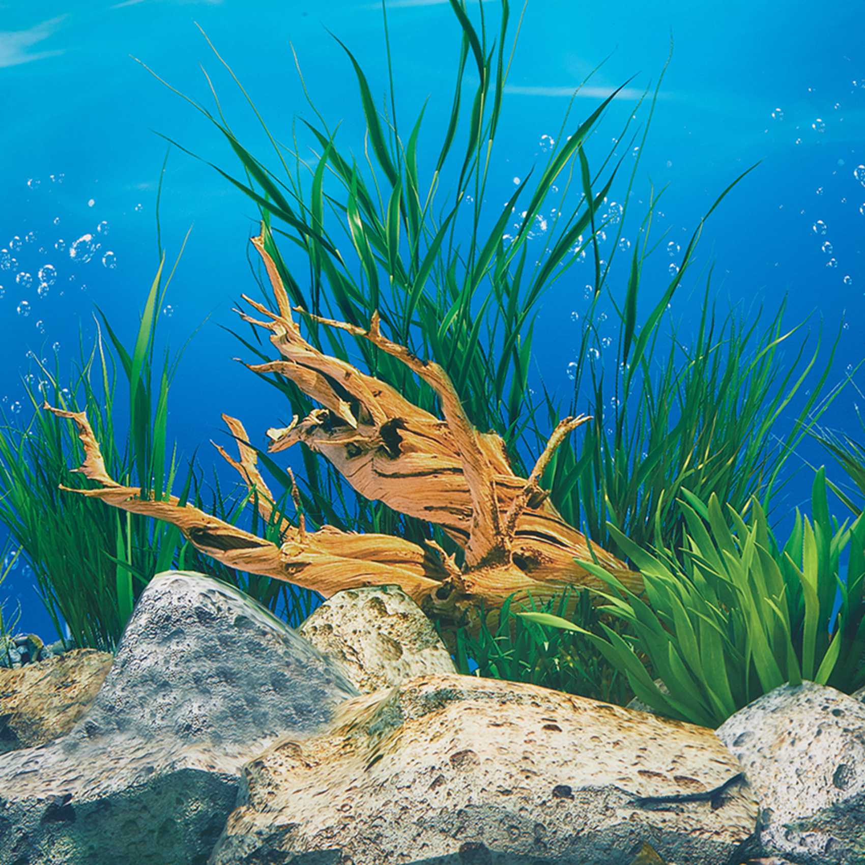 AB33-Aquarium Hintergrund Papi – Aquarium Fish Wallpaper Hd Bewertung und Preis