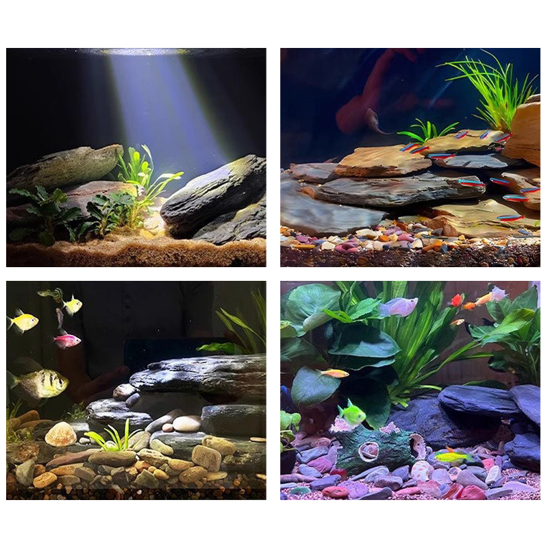 500/1000g Aquarium-Landschafts – Aquarium Fish Guppy Bewertung und Preis