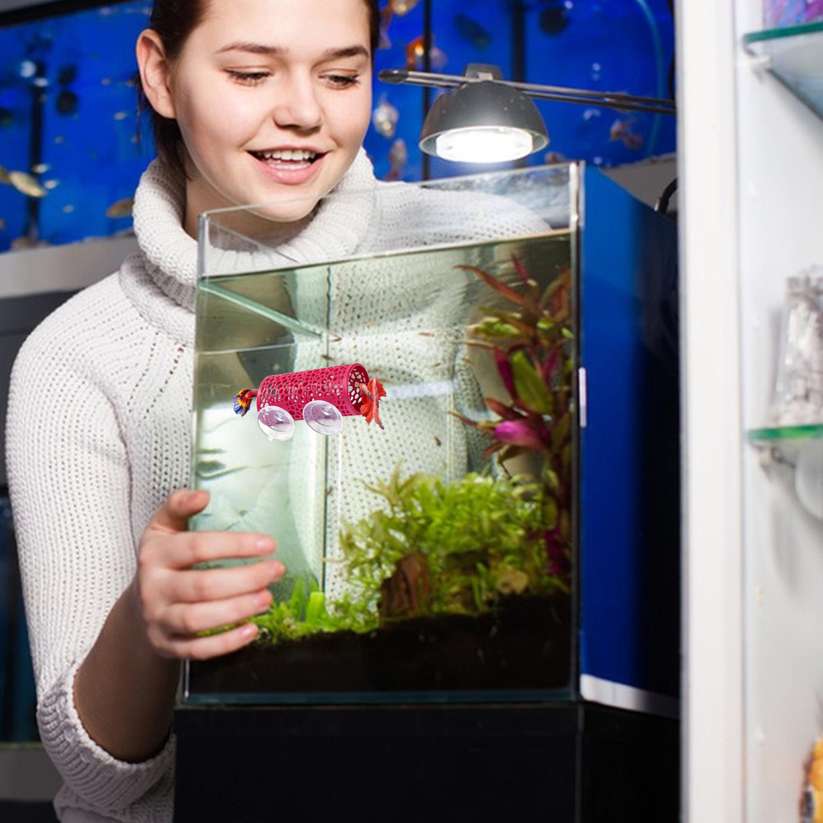 Betta-Habitat, Ruheplatz, Orna – Fish Toys For Aquarium Bewertung und Preis