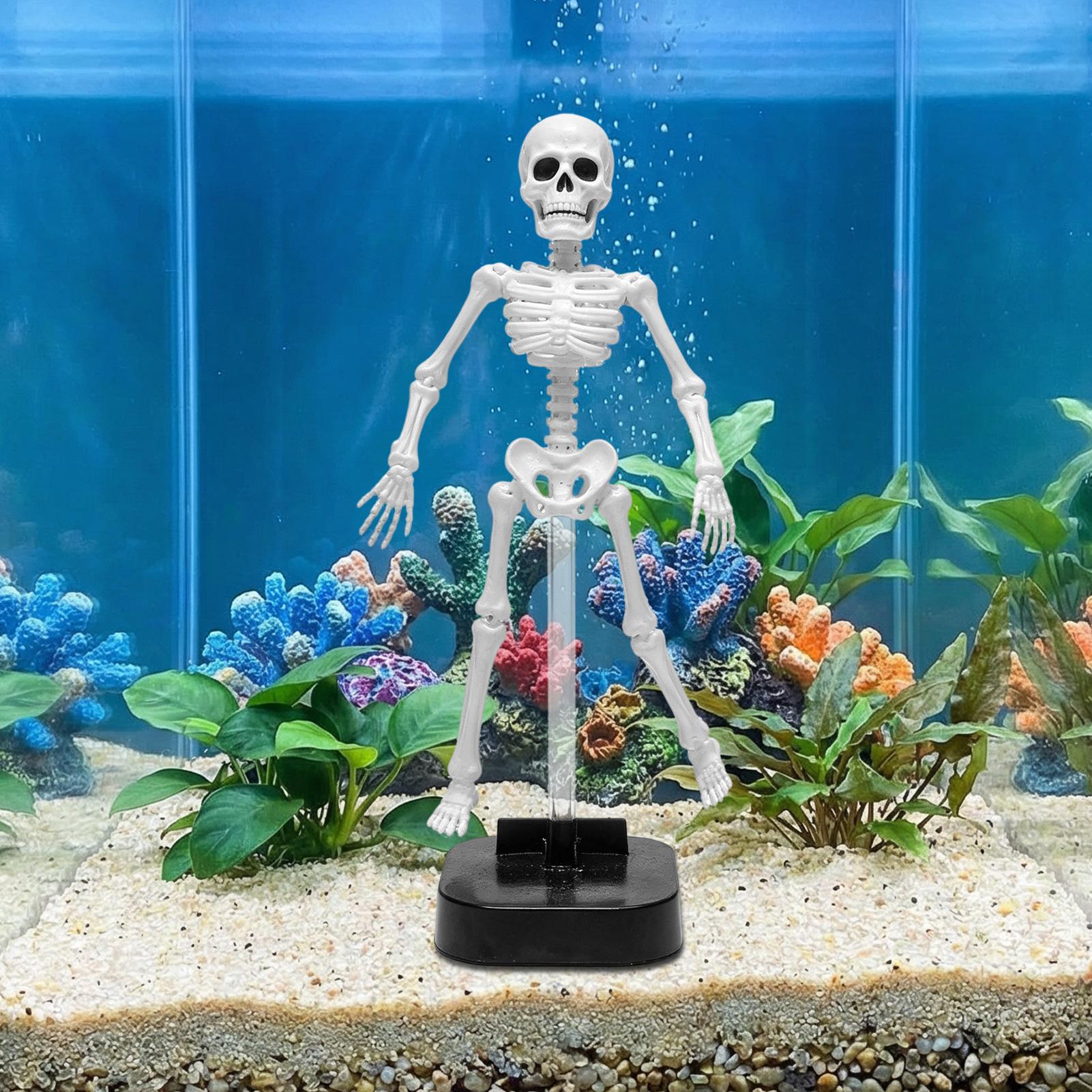 Aquarium-Skelett-Dekoration Ha – Aquarium Fish Diseases Bewertung und Preis