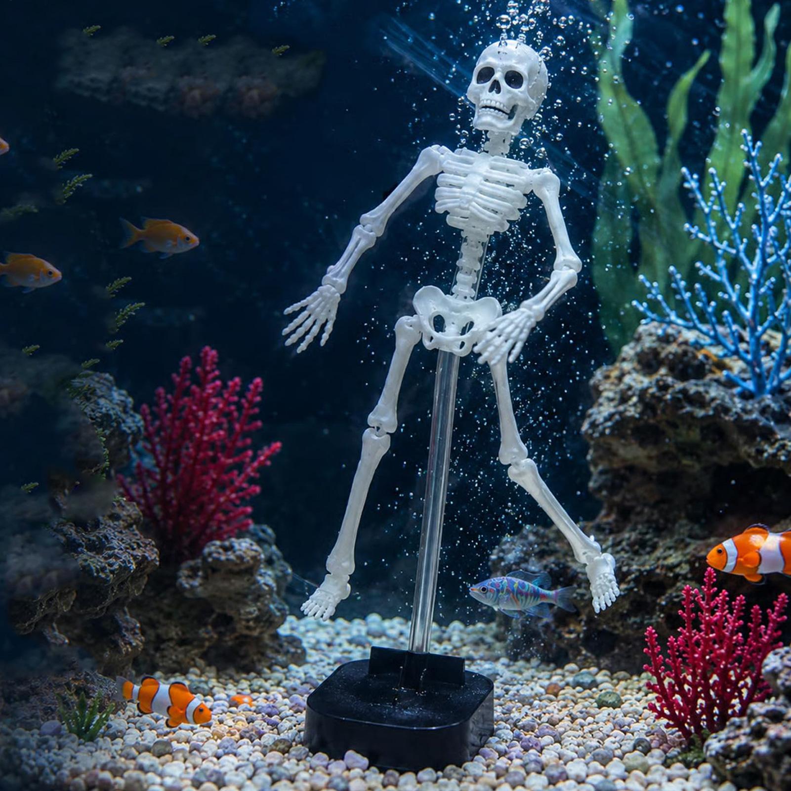 Aquarium-Skelett-Dekoration Ha – Aquarium Fish Diseases Bewertung und Preis