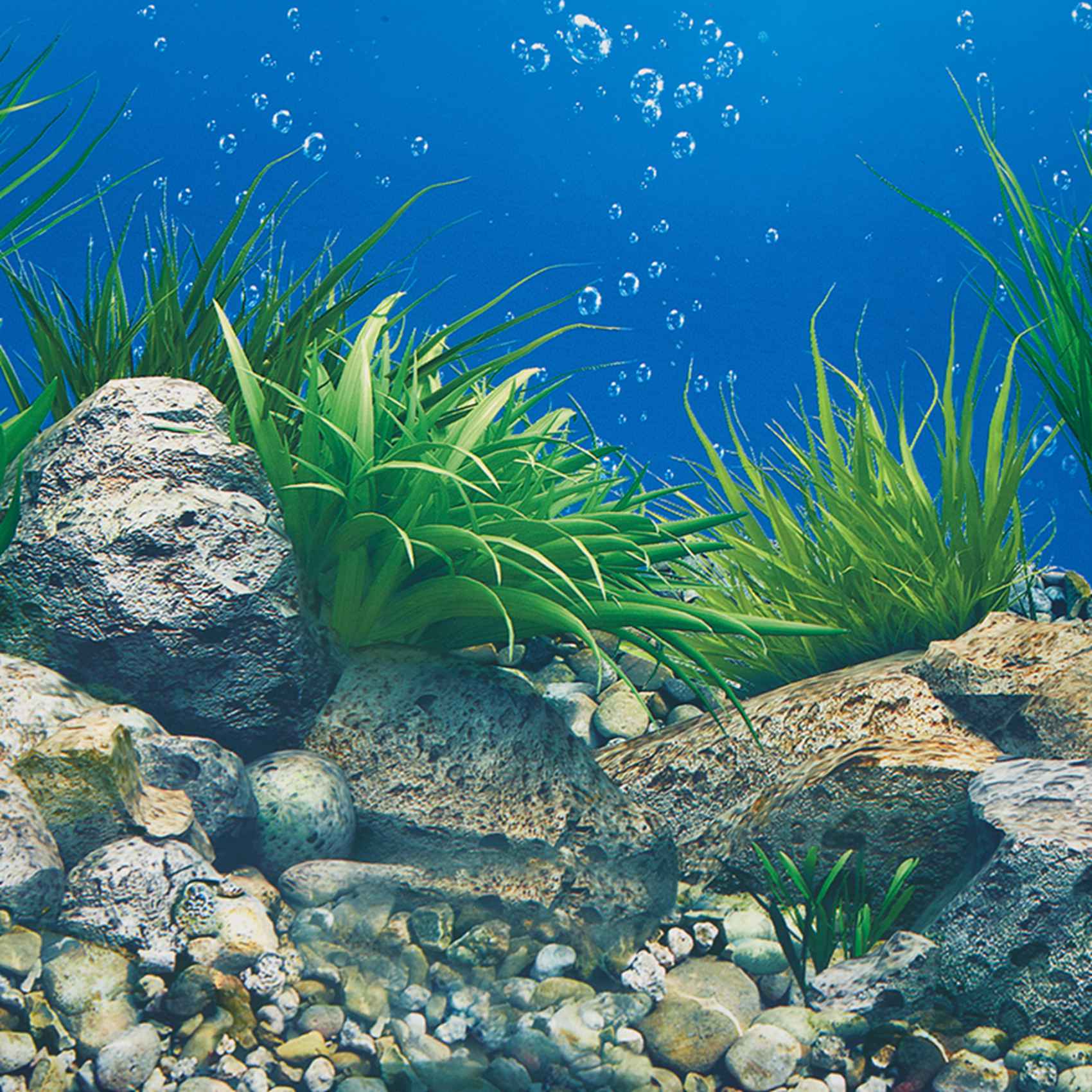 A77I Aquarium Hintergrund Papi – Aquarium Fish Wallpaper Hd Bewertung und Preis