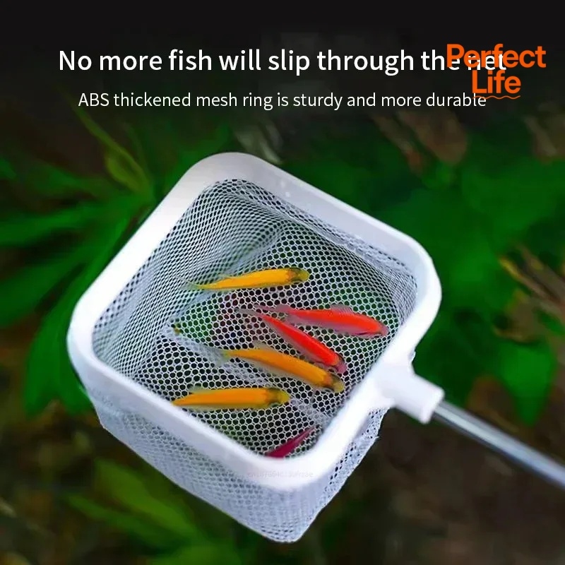 1, 2 Stück Edelstahl-Fischkesc – Aquarium Fishland Bewertung und Preis