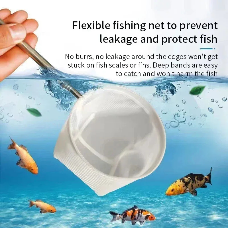 1, 2 Stück Edelstahl-Fischkesc – Aquarium Fishland Bewertung und Preis