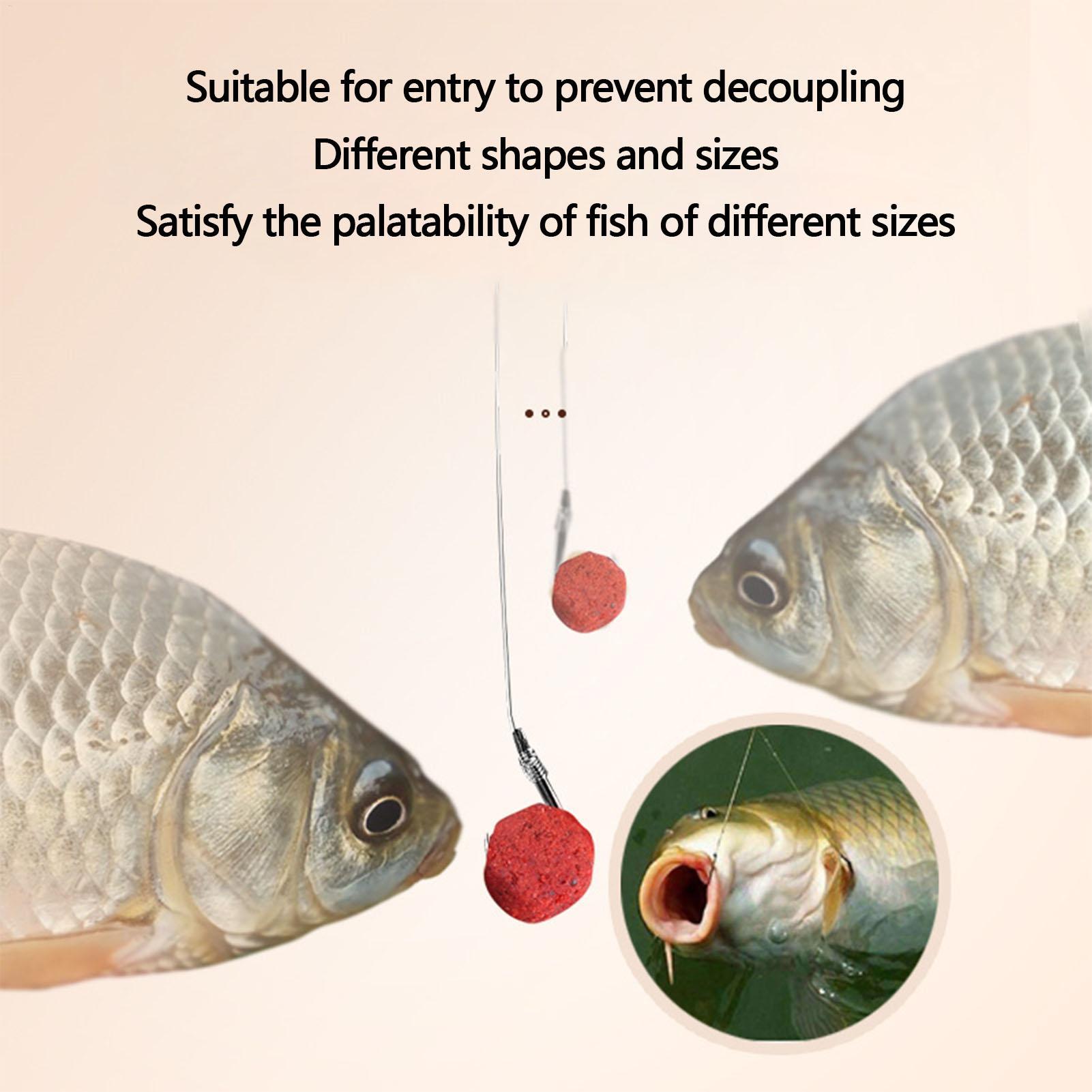 Konzentrierter Angelköder, Wob – Aquarium Fish Diseases Bewertung und Preis