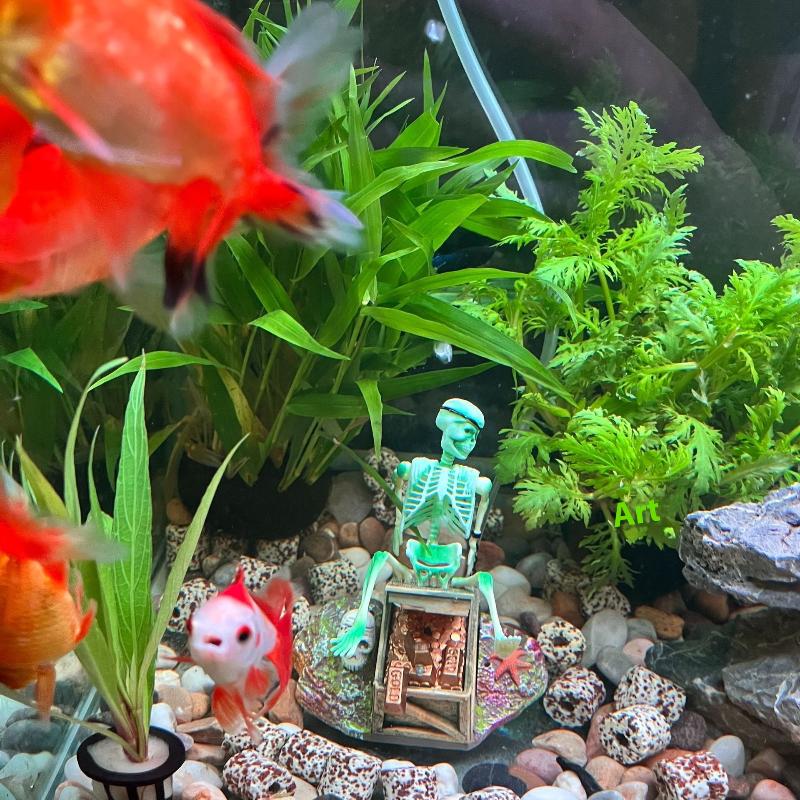Aquarium Aerobic Landschaft Bl – Aquarium Fish Diseases Bewertung und Preis