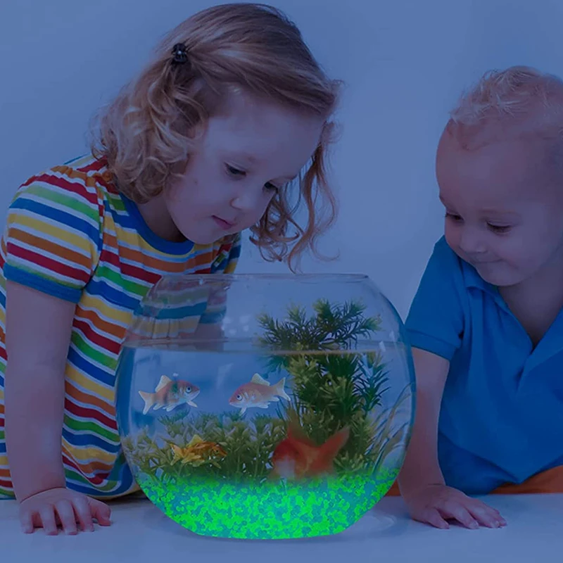 1000 Stück 3–5 mm leuchtender  – Aquarium Fish Guppy Bewertung und Preis