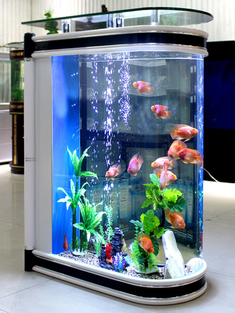 Ökologische Kugel-Aquarium-Aqu – Aquarium Fishland Bewertung und Preis
