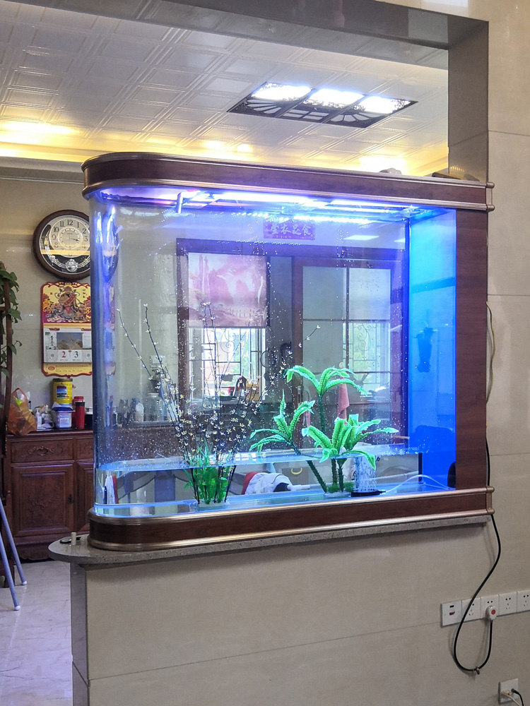 Ökologische Kugel-Aquarium-Aqu – Aquarium Fishland Bewertung und Preis