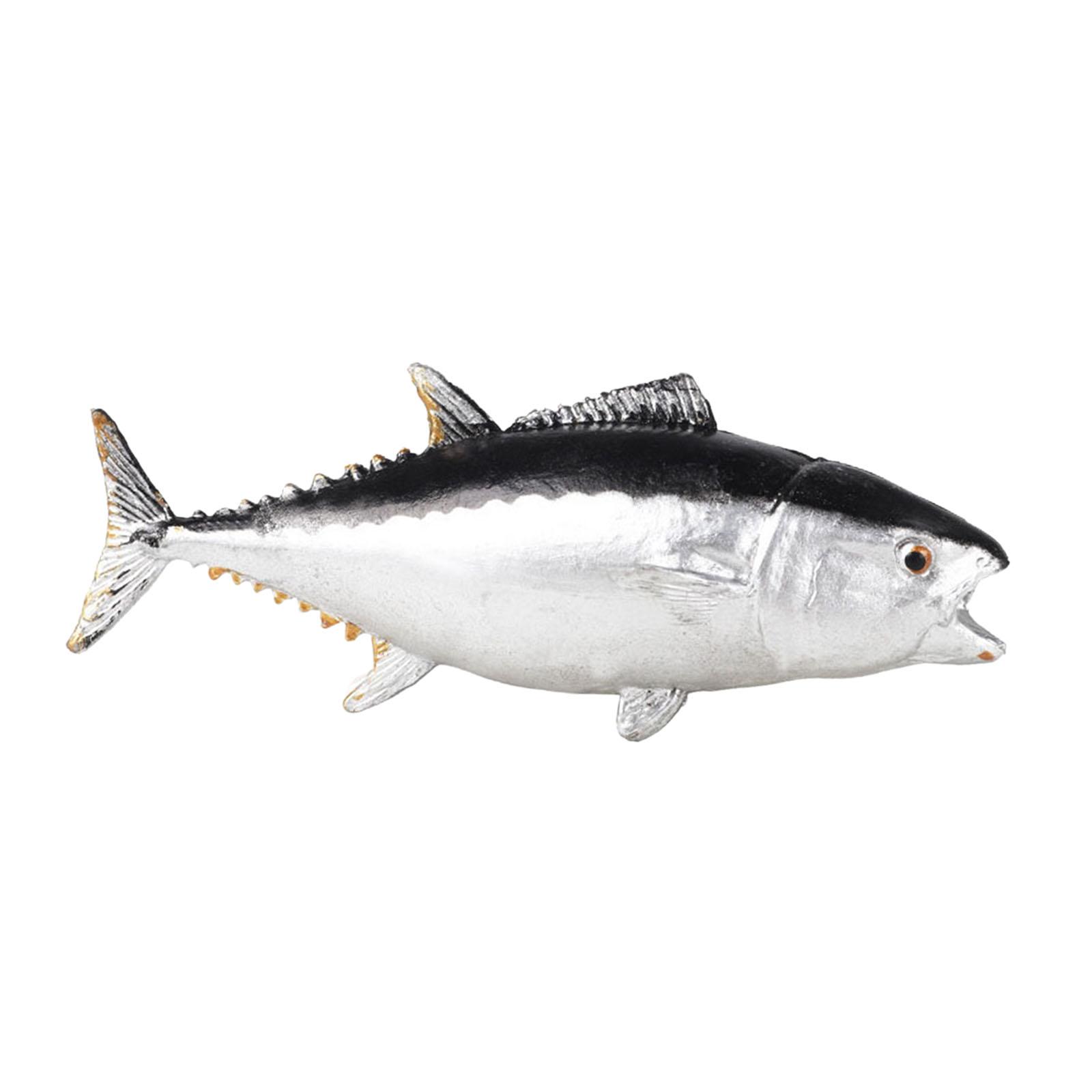 Aquarium-Dekorationen, kogniti – Fish Toys For Aquarium Bewertung und Preis