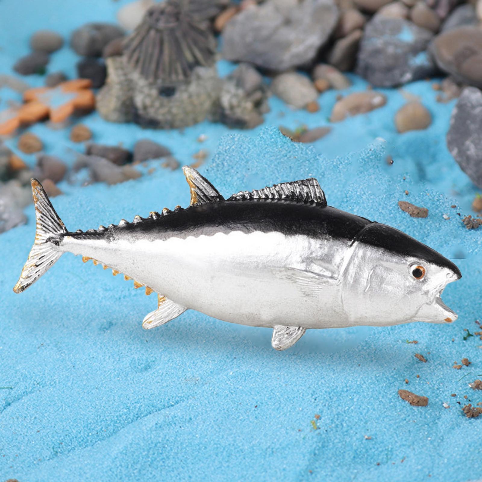 Aquarium-Dekorationen, kogniti – Fish Toys For Aquarium Bewertung und Preis