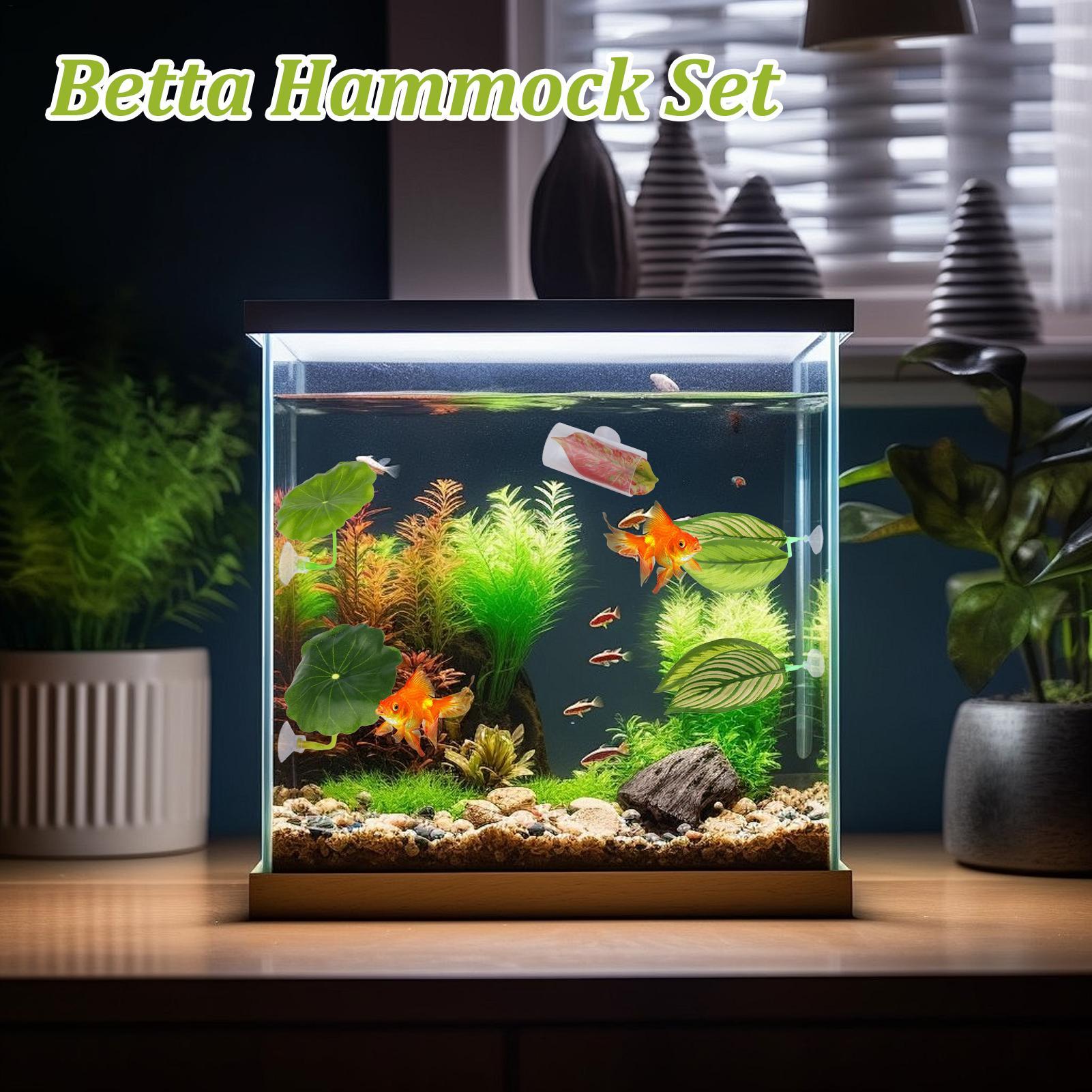 Betta-Fisch-Hängematte, 5-teil – Fish Toys For Aquarium Bewertung und Preis