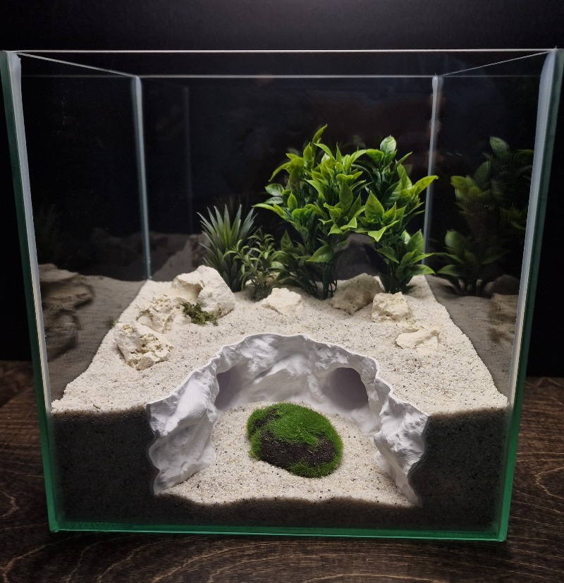 2-in-1 Wasser- und Landverstec – Aquarium Fishland Bewertung und Preis