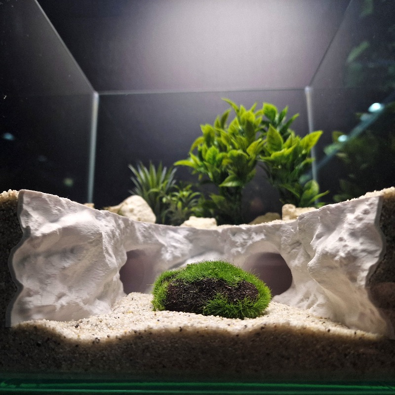2-in-1 Wasser- und Landverstec – Aquarium Fishland Bewertung und Preis