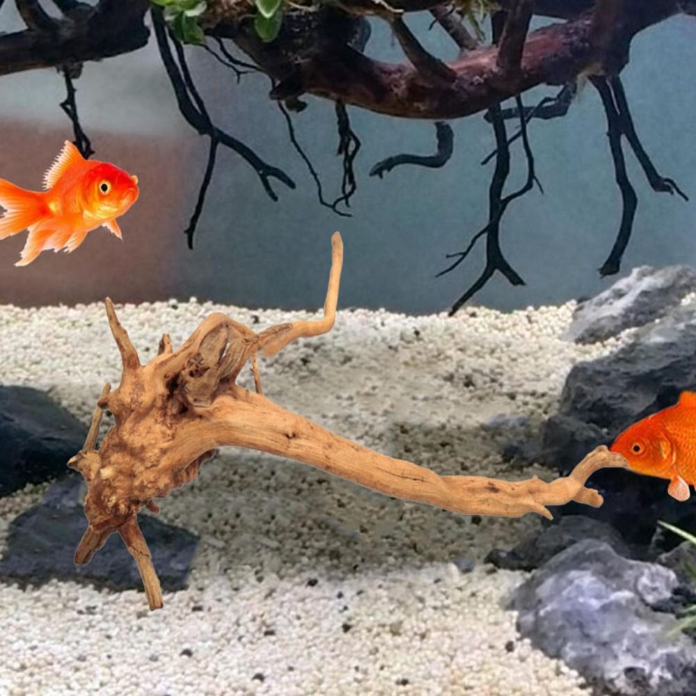 Natürliche Baumstamm Aquarium  – Aquarium Fish Diseases Bewertung und Preis