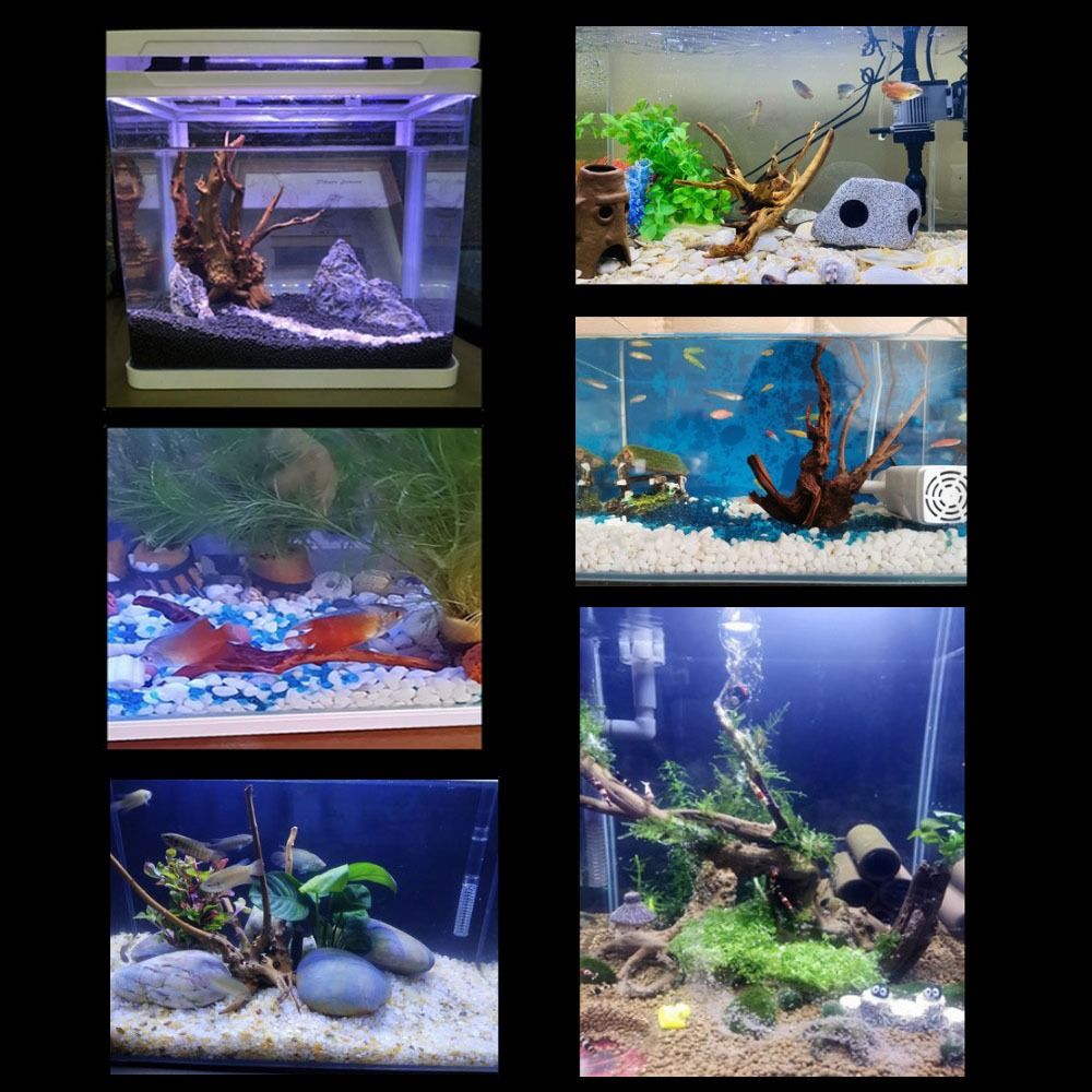 Natürliche Baumstamm Aquarium  – Aquarium Fish Diseases Bewertung und Preis