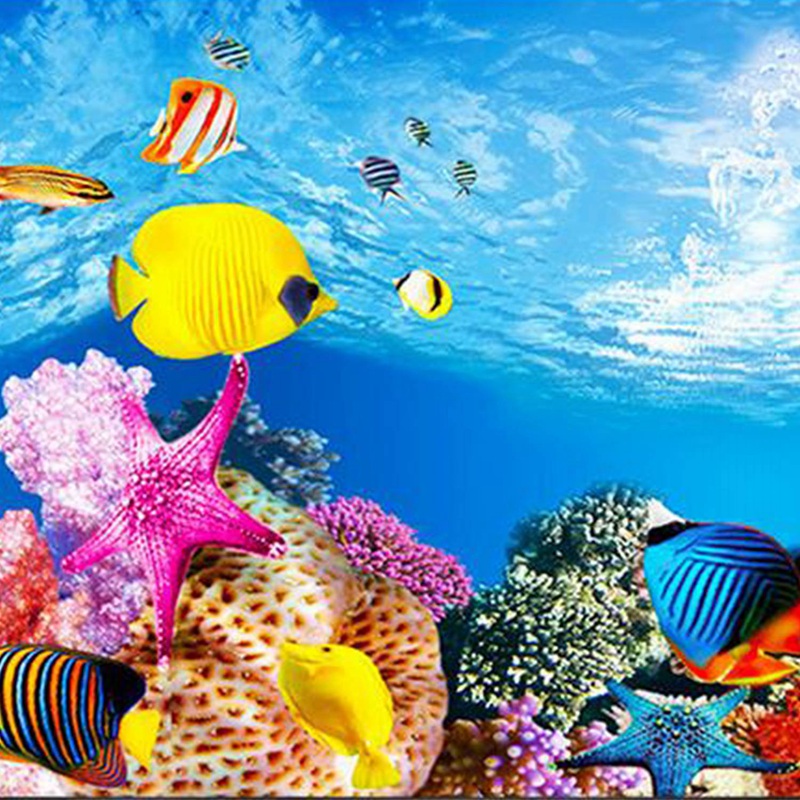 BAAU Aquarium Hintergrund Papi – Aquarium Fish Wallpaper Hd Bewertung und Preis