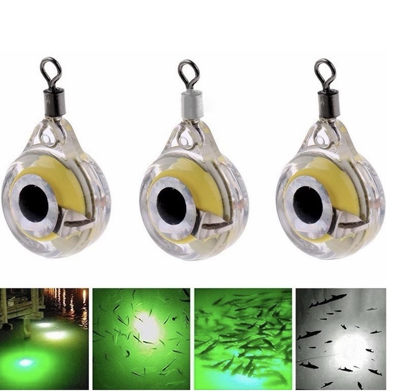 5 Stück Mini-Angelköder mit LE – Aquarium Fish Diseases Bewertung und Preis