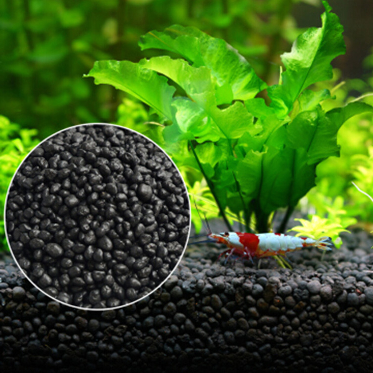 Aquarium Pflanzen Samen Boden  – Aquarium Fish Freshwater Bewertung und Preis