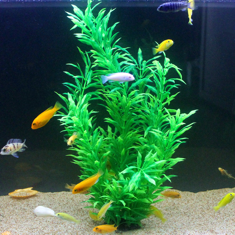 50CM Künstliche Aquarium Selte – Aquarium Fish Guppy Bewertung und Preis