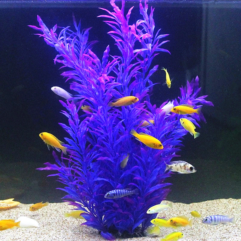 50CM Künstliche Aquarium Selte – Aquarium Fish Guppy Bewertung und Preis