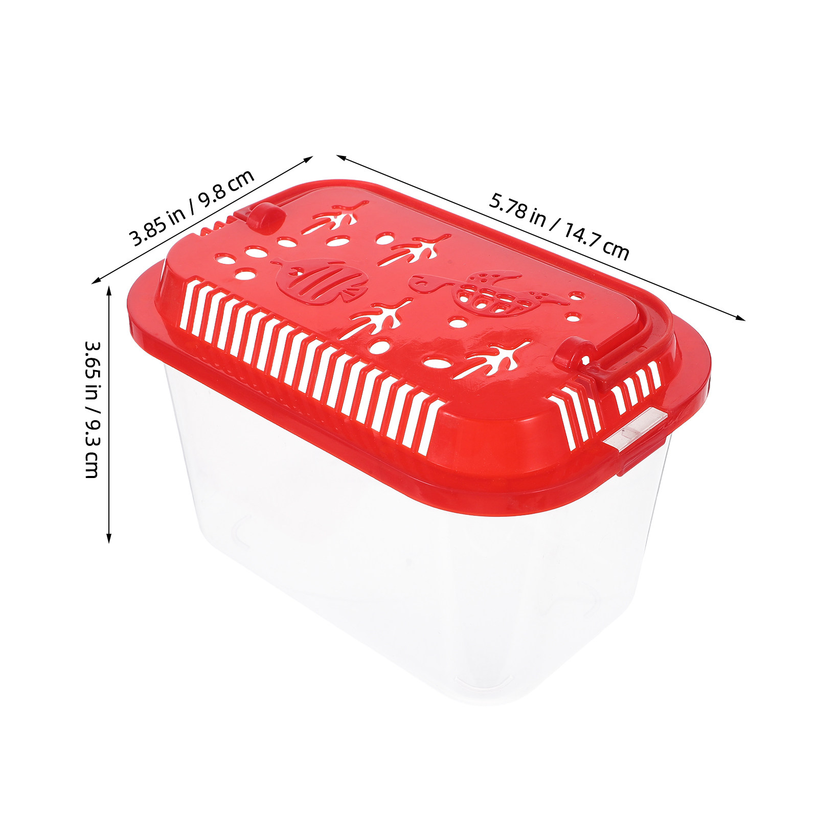 5 Stück Tragbarer Fischtranspo – Aquarium Mini Fish Bewertung und Preis
