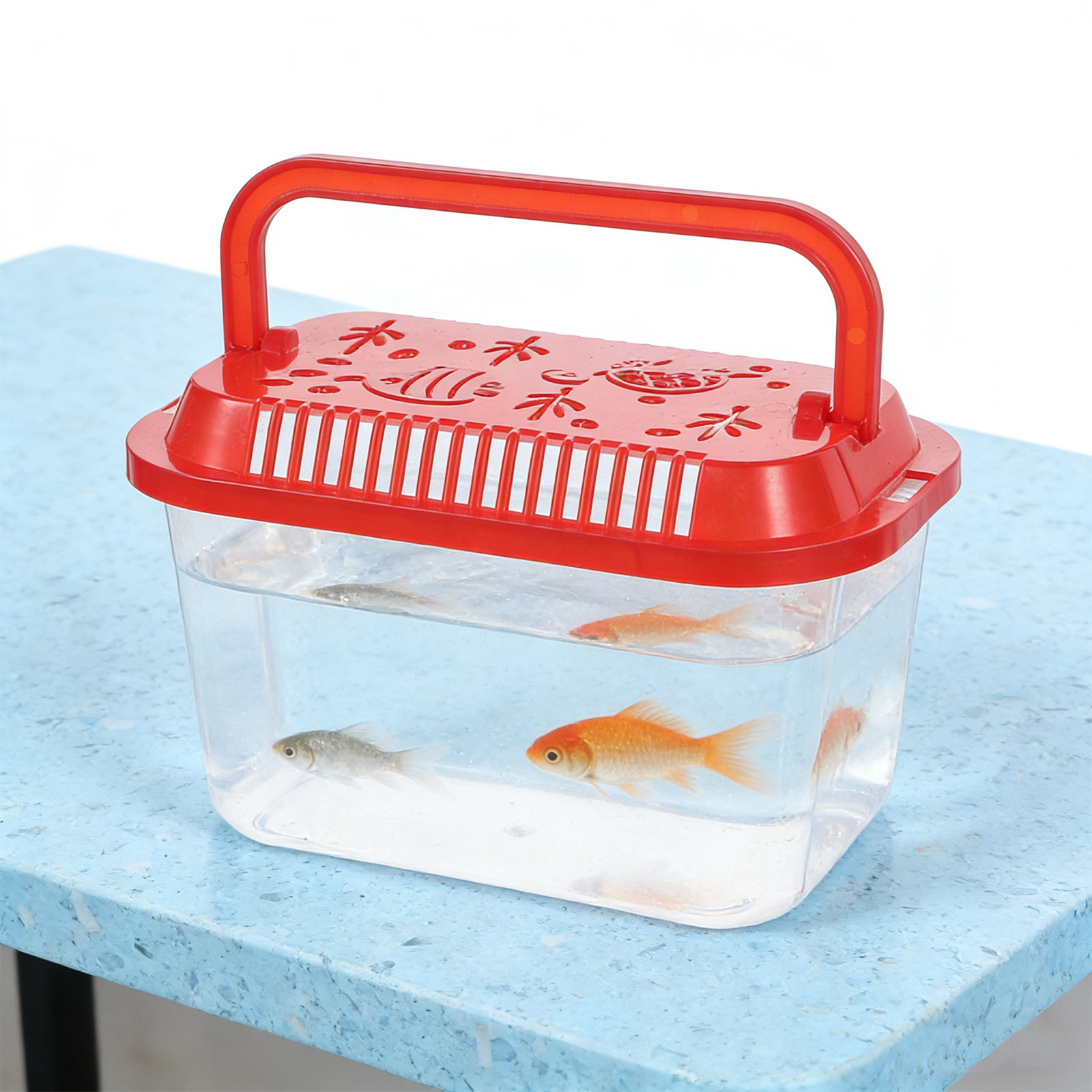 5 Stück Tragbarer Fischtranspo – Aquarium Mini Fish Bewertung und Preis