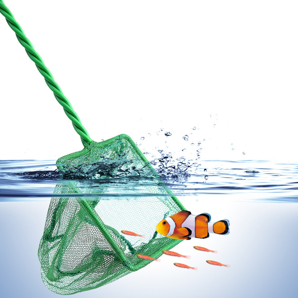 2 Stück tragbares Fischernetz, – Aquarium Fishland Bewertung und Preis