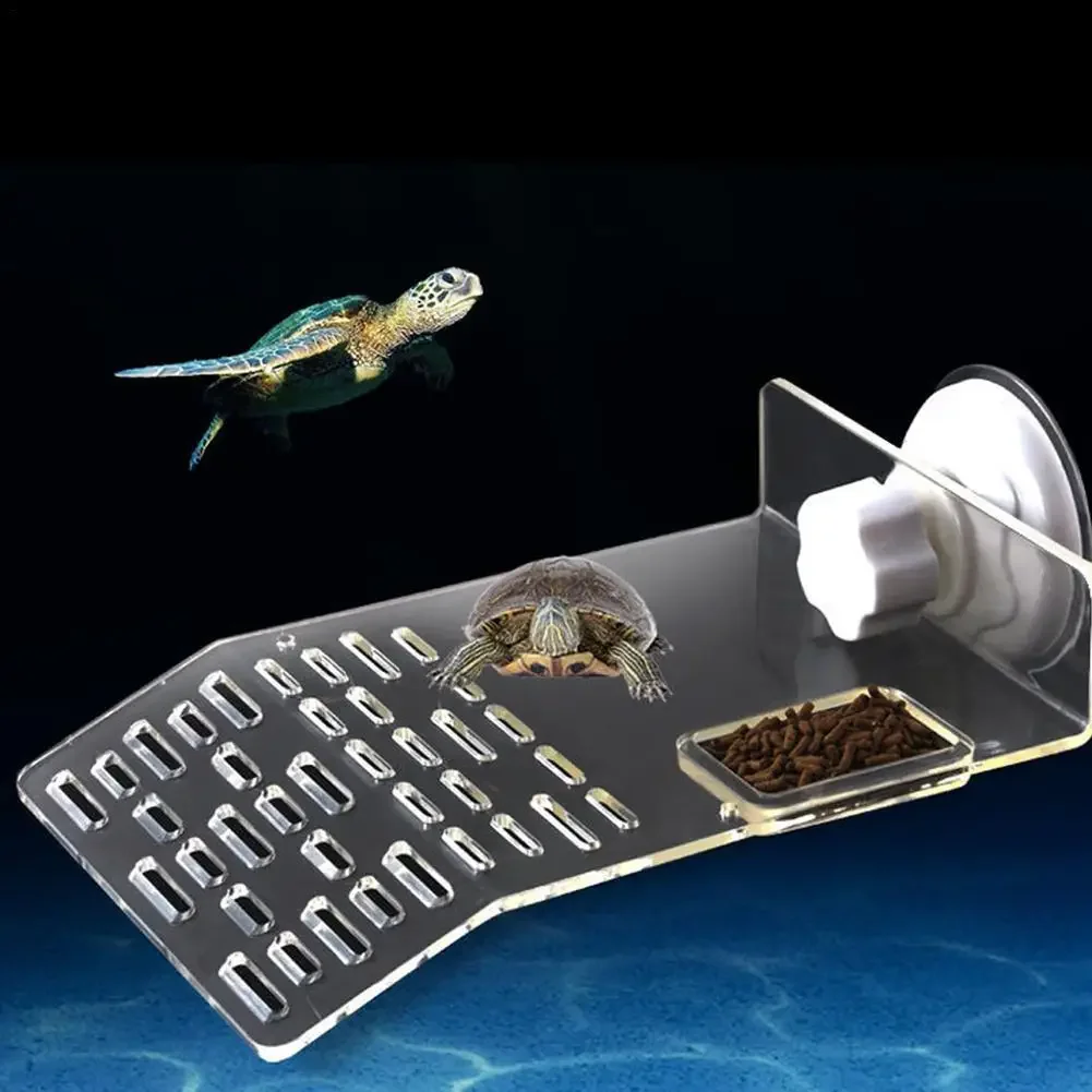 Schildkröten-Dock-Plattform mi – Aquarium Fishland Bewertung und Preis