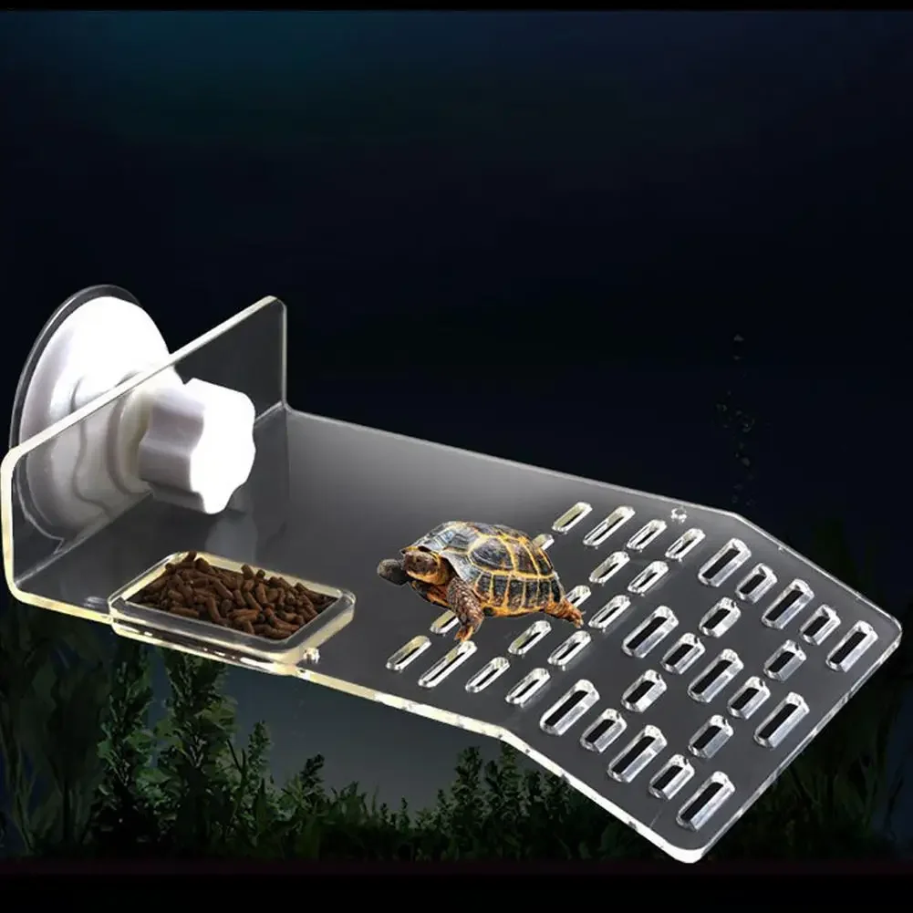 Schildkröten-Dock-Plattform mi – Aquarium Fishland Bewertung und Preis