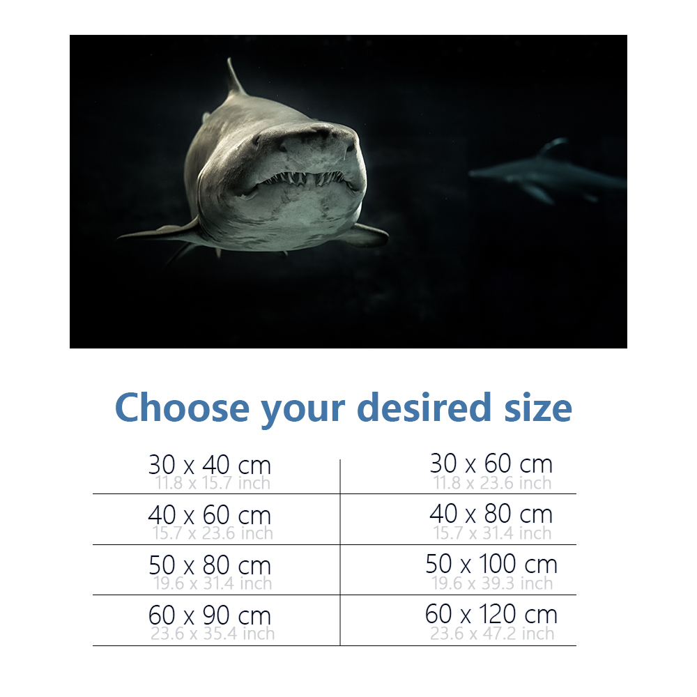 Aquarium Hintergrund 3D Shark  – Aquarium Fish Wallpaper Hd Bewertung und Preis